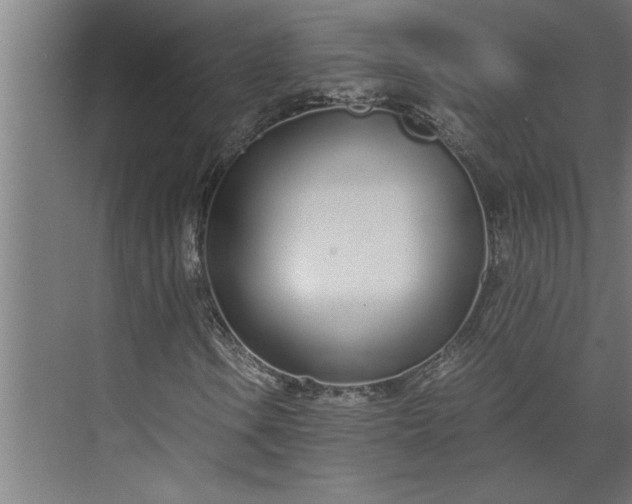 X0000073921106200608251542