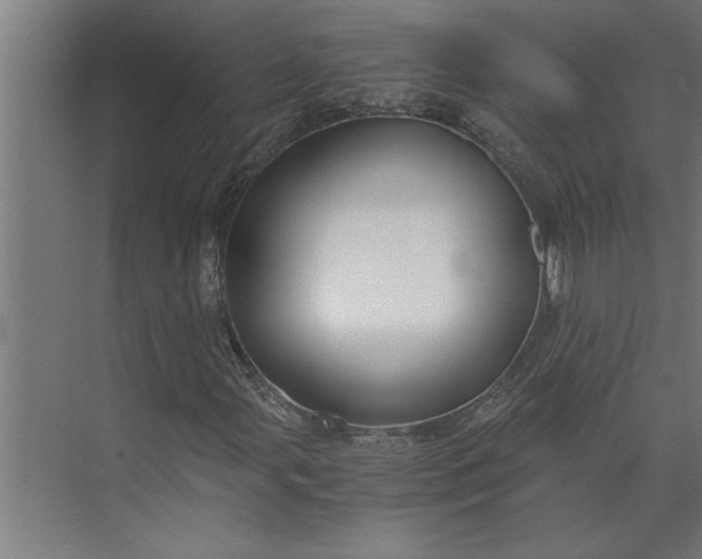 X0000073921107200608251542