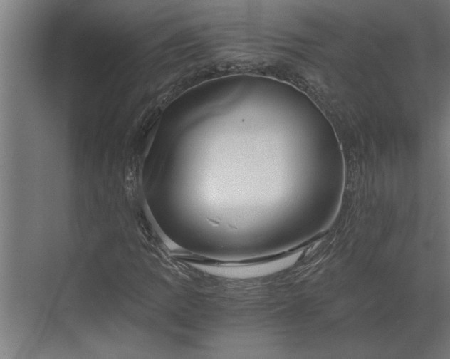 X0000073921109200608251542