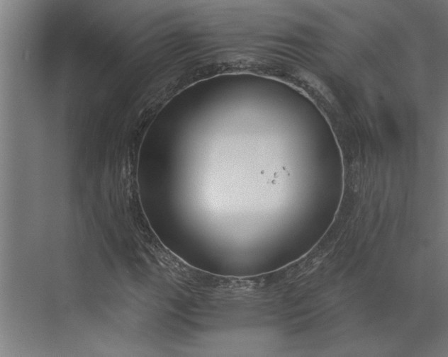 X0000073921111200608251542