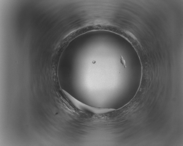 X0000073921112200608251542