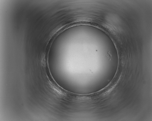 X0000073921113200608251542