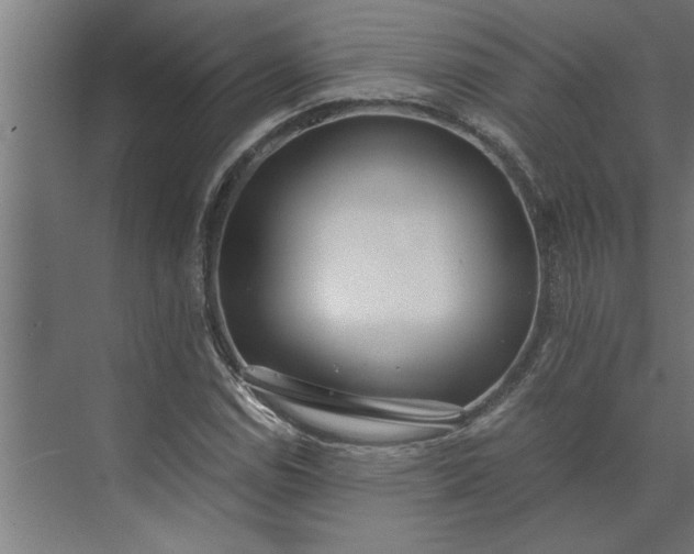 X0000073921114200608251542