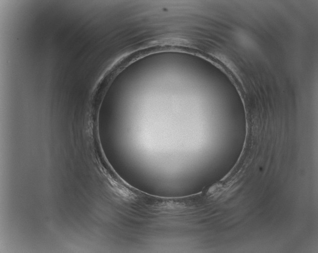 X0000073921115200608251542