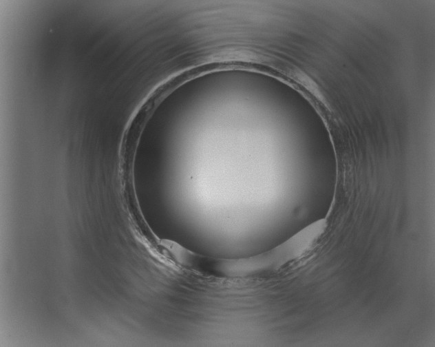 X0000073921116200608251542