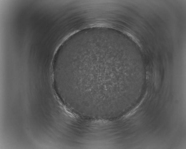 X0000073921117200608251542