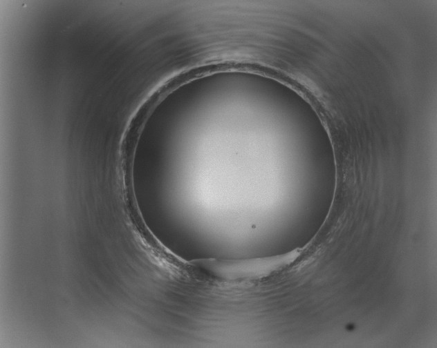 X0000073921118200608251542