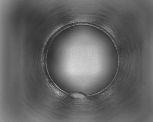 X0000073921119200608251542