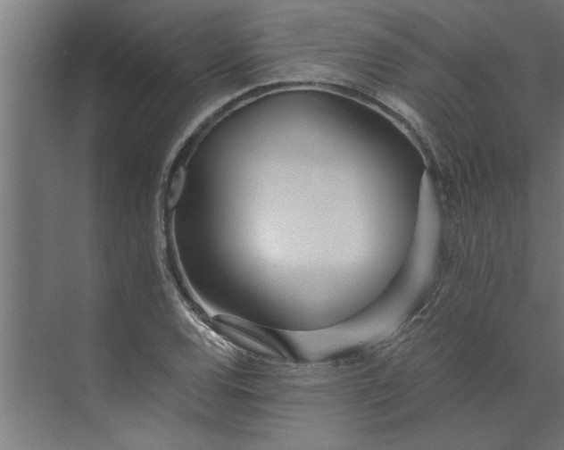 X0000073921120200608251542