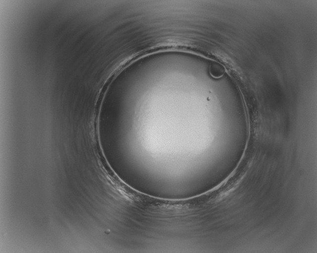 X0000073921121200608251542