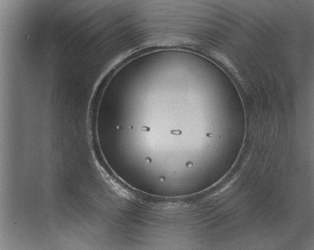 X0000073921122200608251542