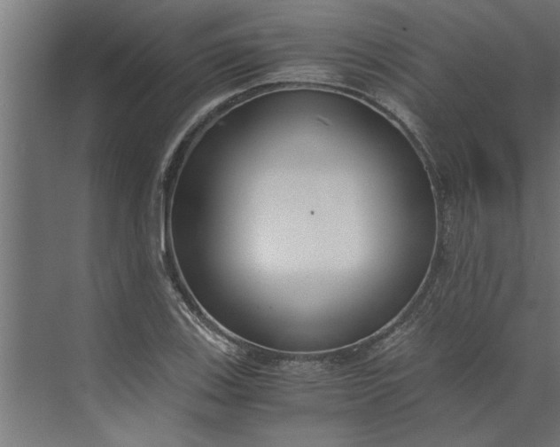 X0000073921123200608251542