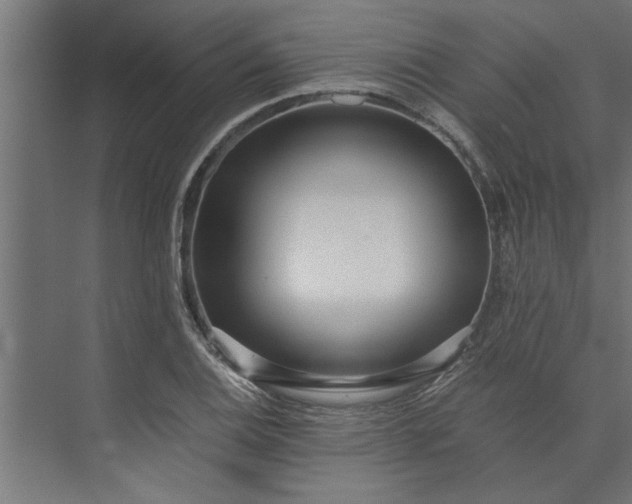 X0000073921124200608251542