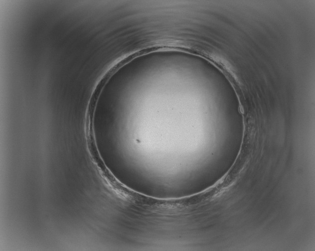 X0000073921125200608251542