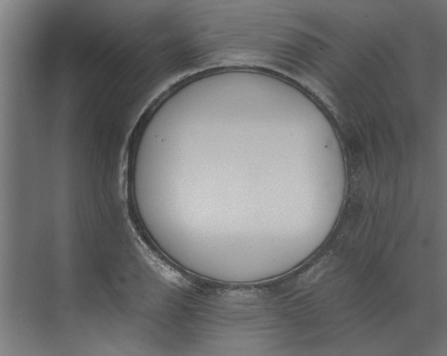 X0000073921126200608251542