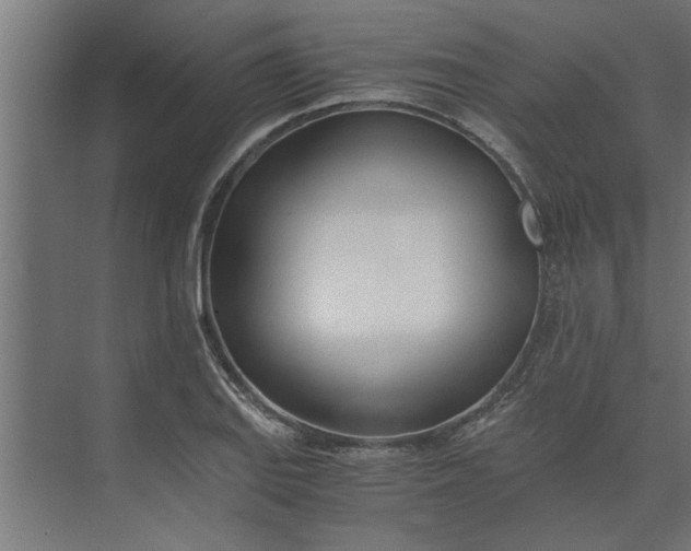 X0000073921127200608251542