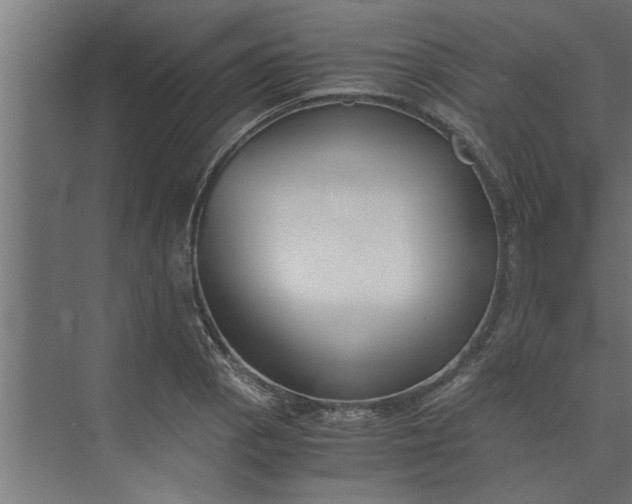 X0000073921129200608251542