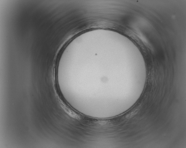 X0000073921130200608251542