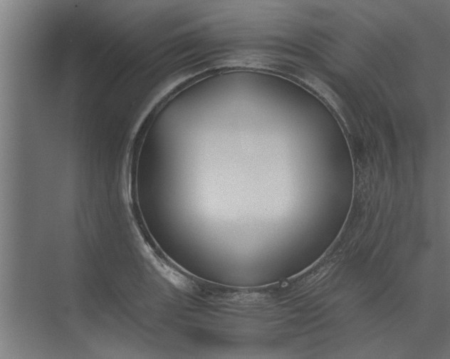 X0000073921131200608251542