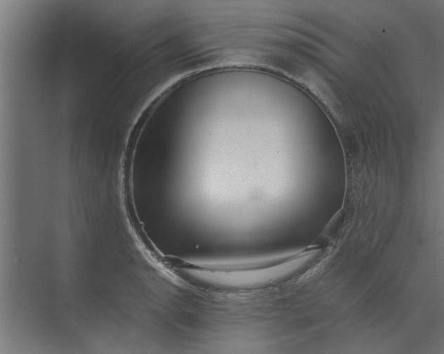 X0000073921134200608251542