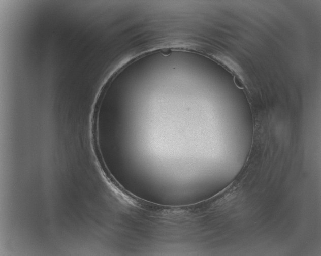 X0000073921135200608251542