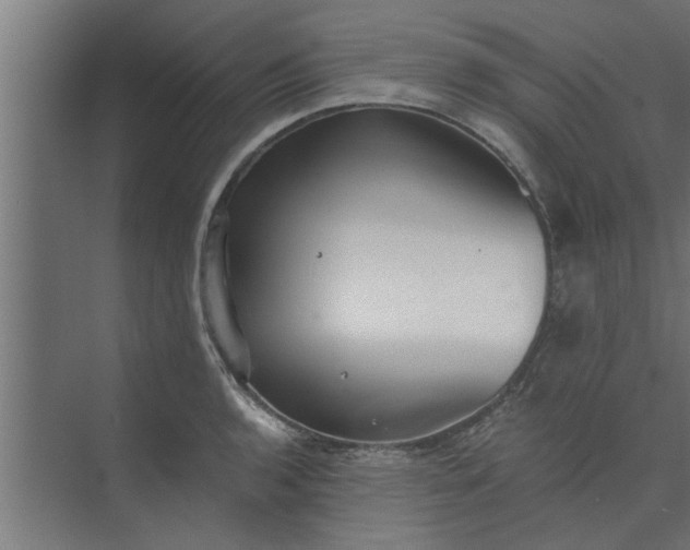 X0000073921136200608251542