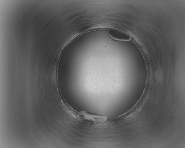 X0000073921137200608251542