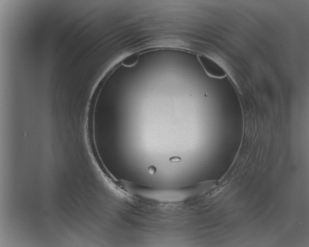 X0000073921139200608251542