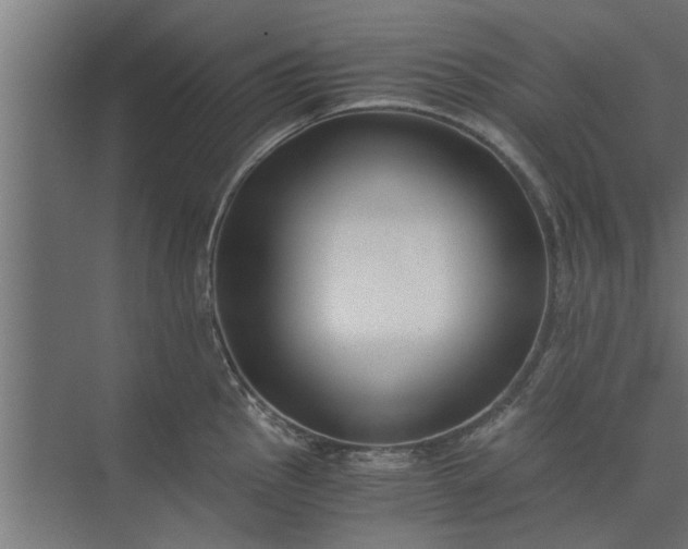 X0000073921145200608251543