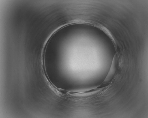 X0000073921148200608251543