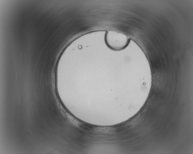 X0000073921150200608251543