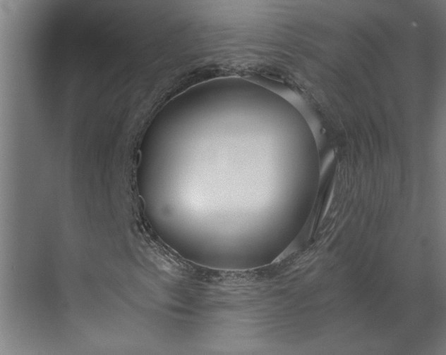 X0000073921153200608251542