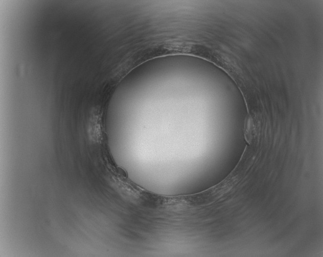 X0000073921154200608251542