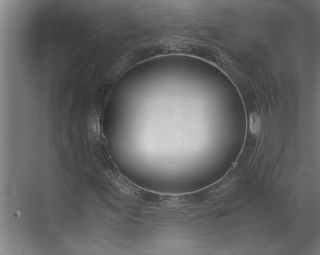 X0000073921155200608251542