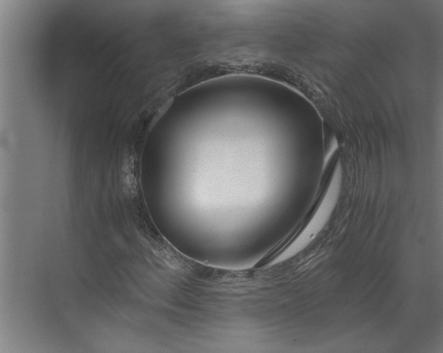 X0000073921156200608251542