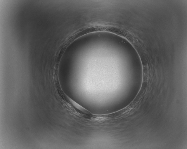 X0000073921157200608251542