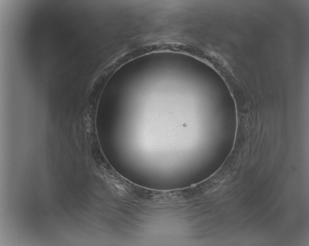 X0000073921159200608251542