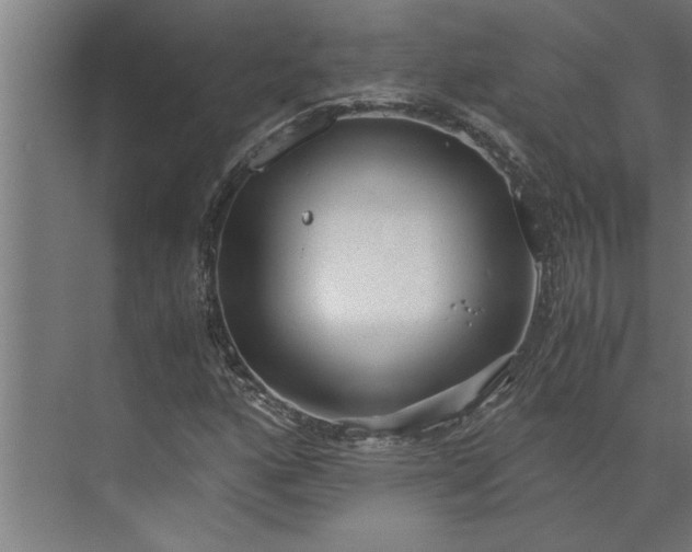 X0000073921160200608251542