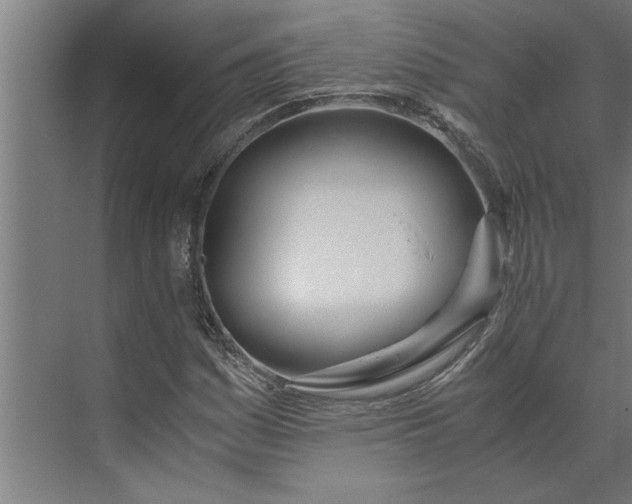 X0000073921161200608251542