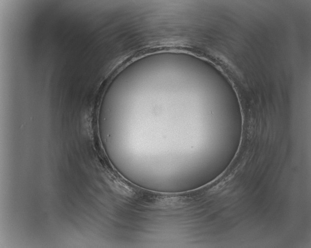 X0000073921162200608251542