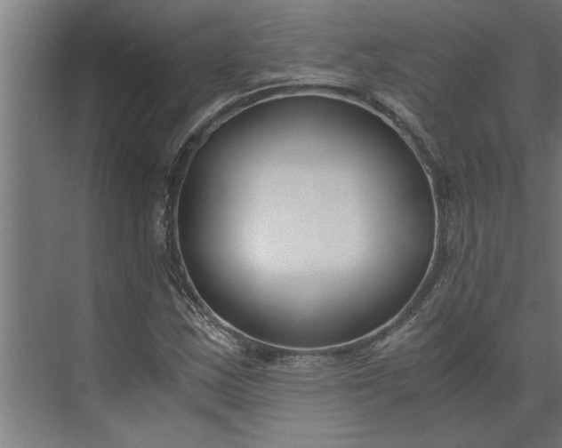 X0000073921163200608251542