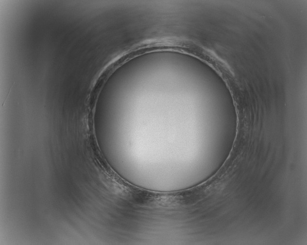 X0000073921166200608251542