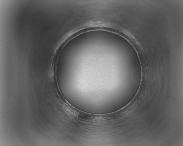 X0000073921167200608251542