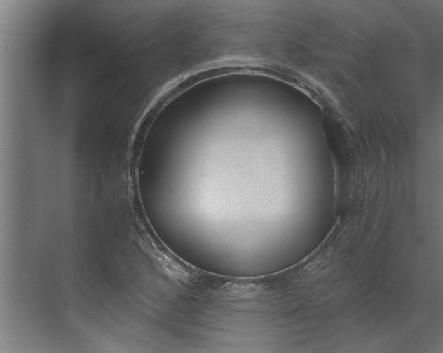 X0000073921168200608251542