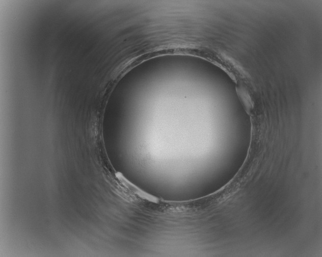 X0000073921169200608251542