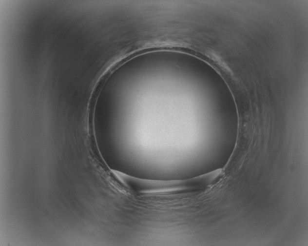 X0000073921173200608251542