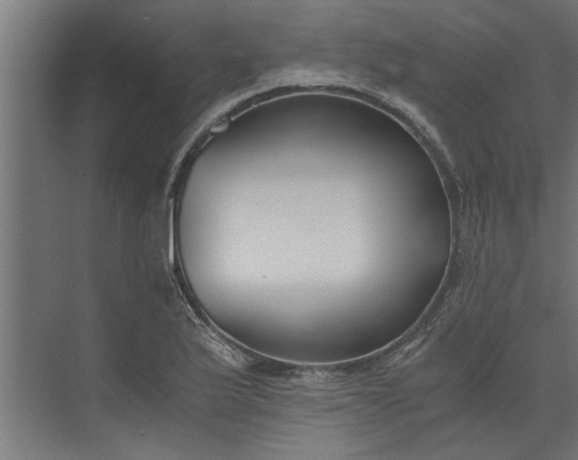 X0000073921175200608251541