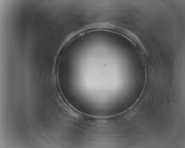 X0000073921176200608251541