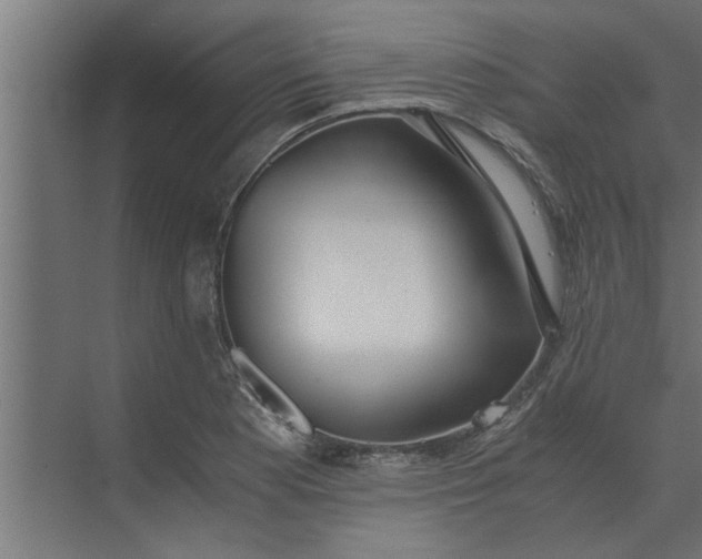 X0000073921177200608251541