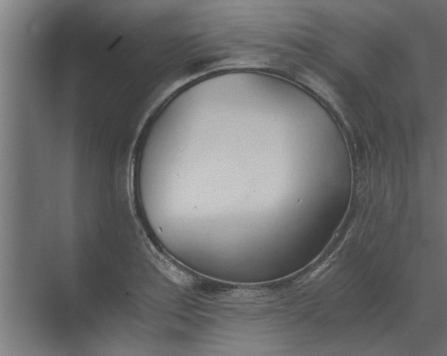 X0000073921179200608251541